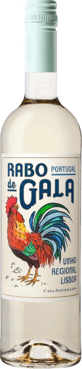 Rabo de Gala Branco - Vinho Regional Lisboa Casa Santos Lima 