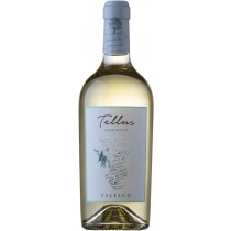 Falesco Tellus Chardonnay Bianco Lazio IGP