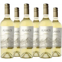 Alamos - The wines of Catena 6er Vorteilspaket Alamos Torrontés