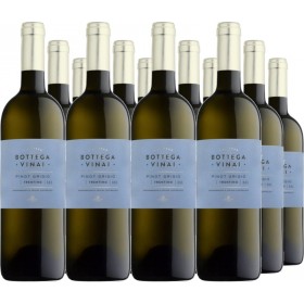 12er Vorteilspaket Pinot Grigio Trentino DOC Bottega Vinai