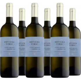 6er Vorteilspaket Pinot Grigio Trentino DOC Bottega Vinai