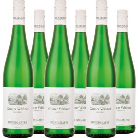 6er Vorteilspaket Bründlmayer Grüner Veltliner Landwein