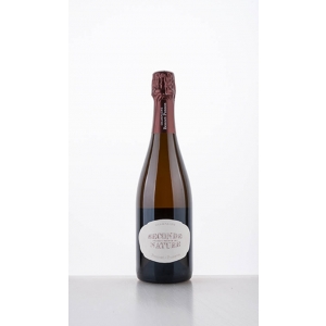 Seconde Nature SN20, Chamery Premier Cru, Non Dosé  Bonnet-Ponson Champagne